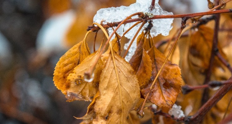 بارش ها تا روز یک شنبه هفته آینده ادامه دارد