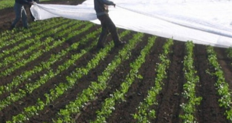 هشدار نارنجی به کشاورزان؛ گندم و غلات را به مناطق امن حمل کنید