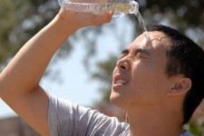 مهمانان آزاردهنده فصل گرما؛ مسموم شدیم یا گرمازده؟