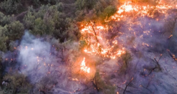 شعله‌ور شدن دوباره آتش در جنگل‌های «چله» و «حیدریه» گیلانغرب