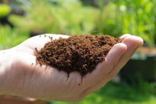 898 تن ازانواع کودهای کشاورزی درشهرستان صحنه تامین و توزیع شد