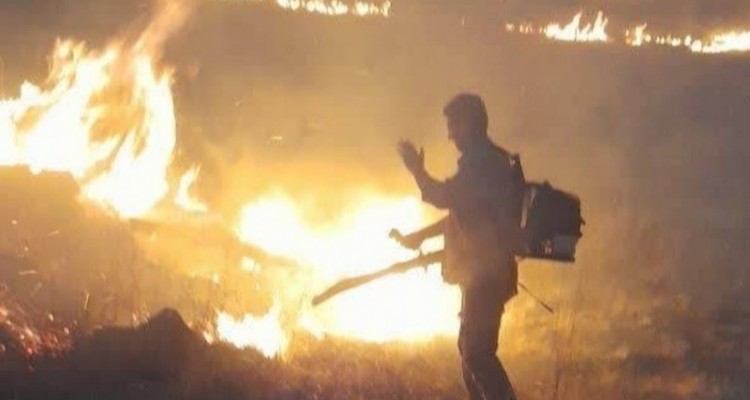 مهار آتش سوزی منطقه حفاظت شده بیستون