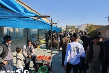 دومین جشنواره انگور کندوله در شهرستان صحنه