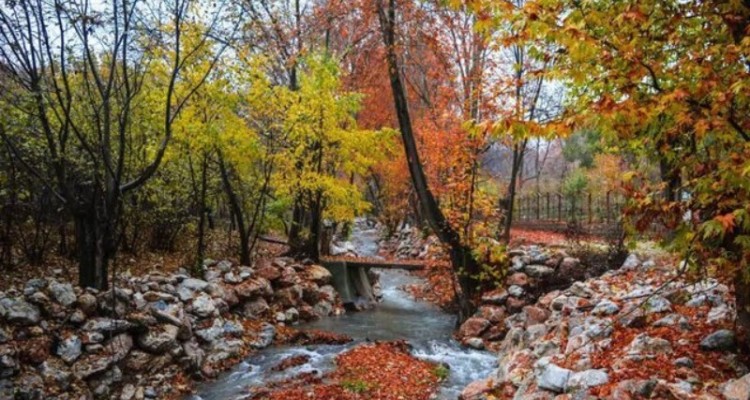 رویداد عکاسی «پاییز هزار رنگ» در شهر صحنه برگزار می‌شود