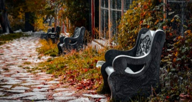 پیاده روی زیبا