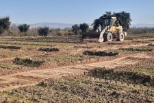 ۱۵ هزار متر مربع از زمین ملی شهرستان صحنه از متصرفان بازپس گیری شد