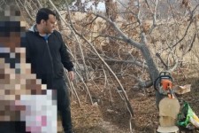 دستگیری عامل قطع درختان حاشیه بزرگراه کربلا توسط پاسگاه ویژه منابع طبیعی شهرستان صحنه