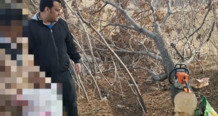 دستگیری عامل قطع درختان حاشیه بزرگراه کربلا توسط پاسگاه ویژه منابع طبیعی شهرستان صحنه