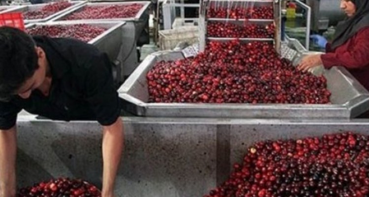 سرمایه‌گذاری در صنایع تبدیلی کرمانشاه ضروری است