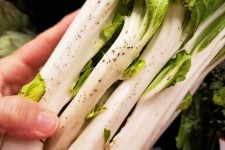 زیاده‌روی در مصرف گیاهان بهاری ممنوع!