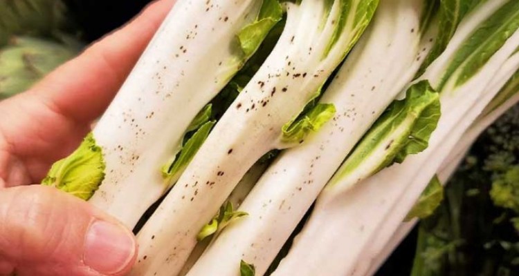 زیاده‌روی در مصرف گیاهان بهاری ممنوع!