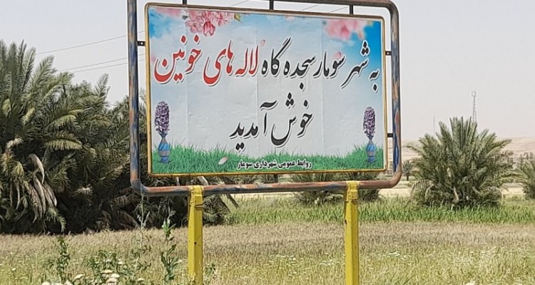 چشمان سومار؛ کم سو و بیمار