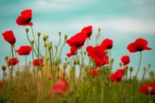 روایت مکانیک صحنه ای که مدافع حرم شد