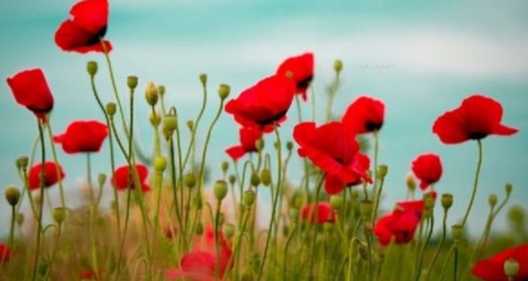 روایت مکانیک صحنه ای که مدافع حرم شد