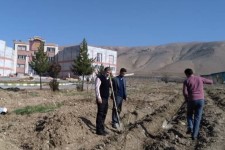 احداث گلستان تحقیقاتی گل محمدی در دانشگاه آزاد اسلامی واحد صحنه