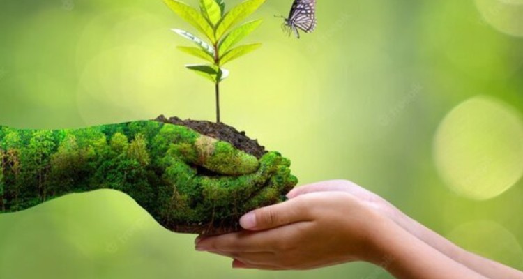 ۷۵ هزار کرمانشاهی همیار طبیعت هستند