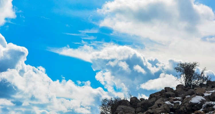 زمستان در منطقه حفاظت شده امروله