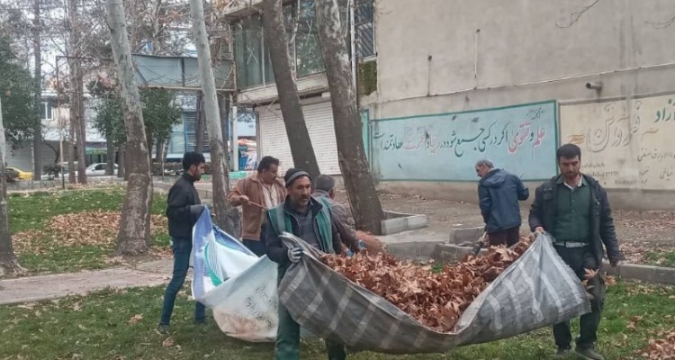 خدمات شهرداری صحنه برای داشتن شهری زیبا