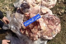 130 کیلوگرم گوشت فاسد از دو رستوران سطح شهر صحنه کشف شد