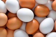 عرضه تخم مرغ فاقد هویت بهداشتی در صحنه ممنوع است