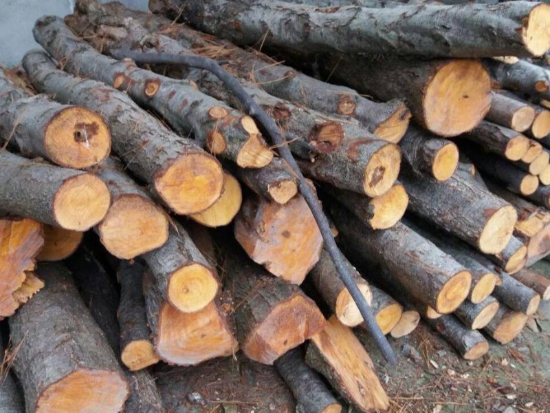 ۱۰ تن چوب قاچاق در صحنه کشف شد ۱۰ تن چوب قاچاق در صحنه کشف شد