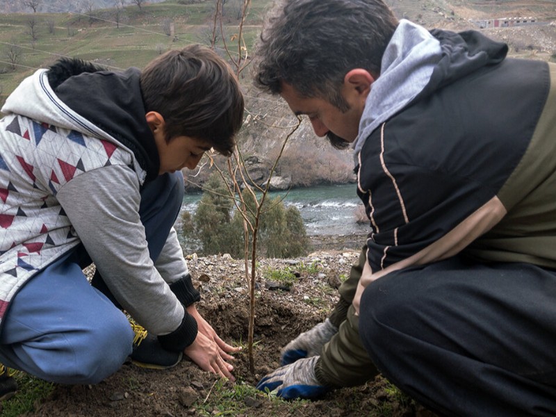 ۲ هزار اصله نهال بومی زاگرس در کرمانشاه کاشت میشود ۲ هزار اصله نهال بومی زاگرس در کرمانشاه کاشت میشود