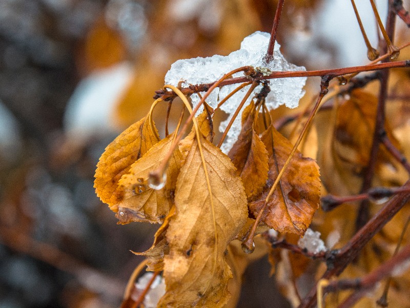 بارش ها تا روز یک شنبه هفته آینده ادامه دارد بارش ها تا روز یک شنبه هفته آینده ادامه دارد