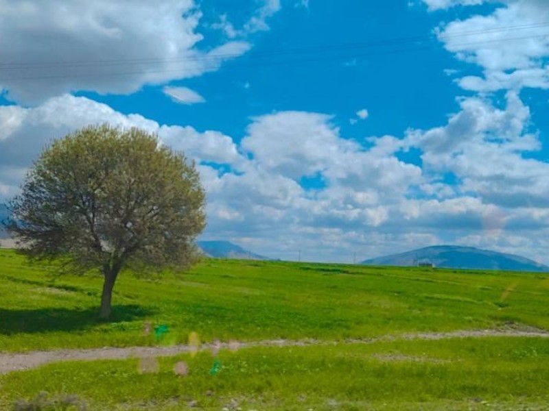 طبیعت بهاری شهرستان صحنه