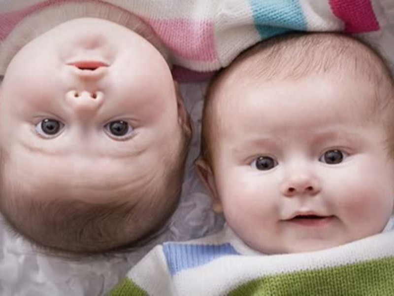 تولد ۷۴ مورد چند قلو در کرمانشاه طی سالجاری تولد ۷۴ مورد چند قلو در کرمانشاه طی سالجاری