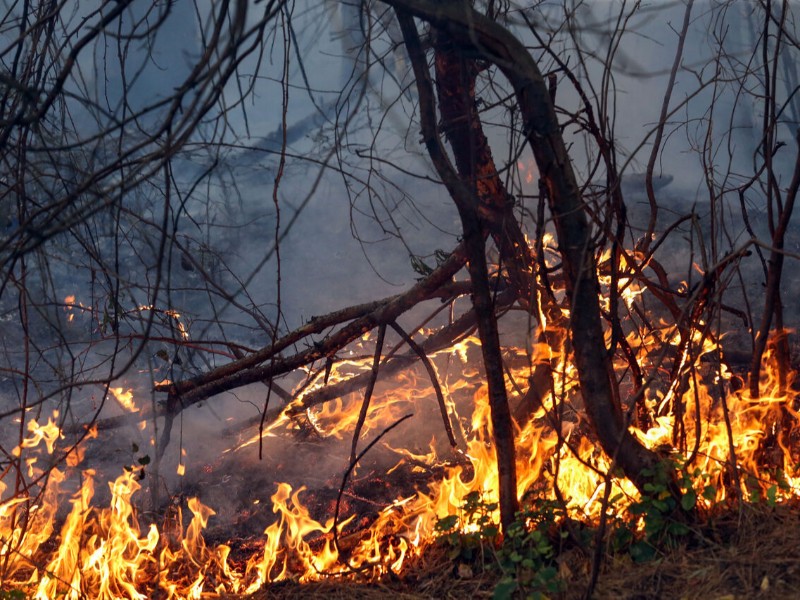 آتش بر جان کرمانشاه آتش بر جان کرمانشاه