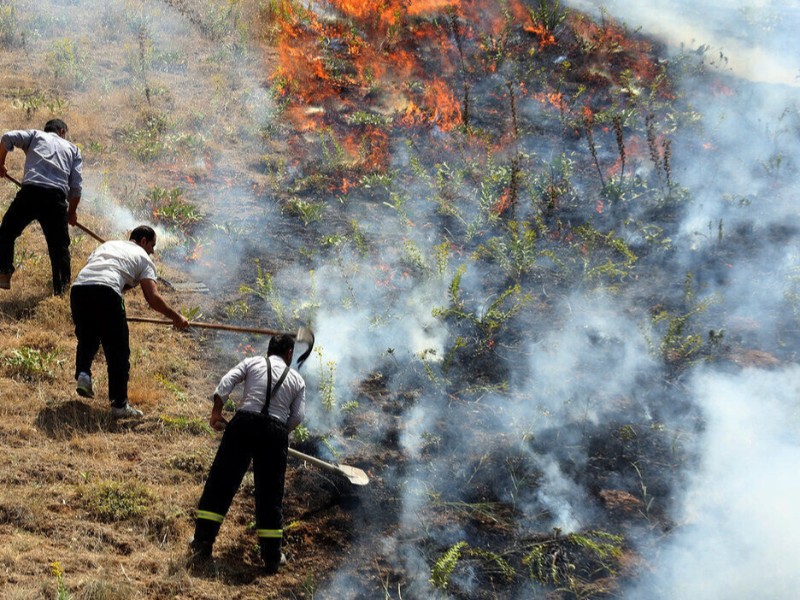 آتش‌سوزی منطقه حفاظت شده امروله و دالاخانی صحنه مهار شد