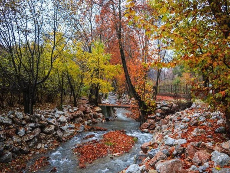 رویداد عکاسی «پاییز هزار رنگ» در شهر صحنه برگزار میشود رویداد عکاسی «پاییز هزار رنگ» در شهر صحنه برگزار میشود