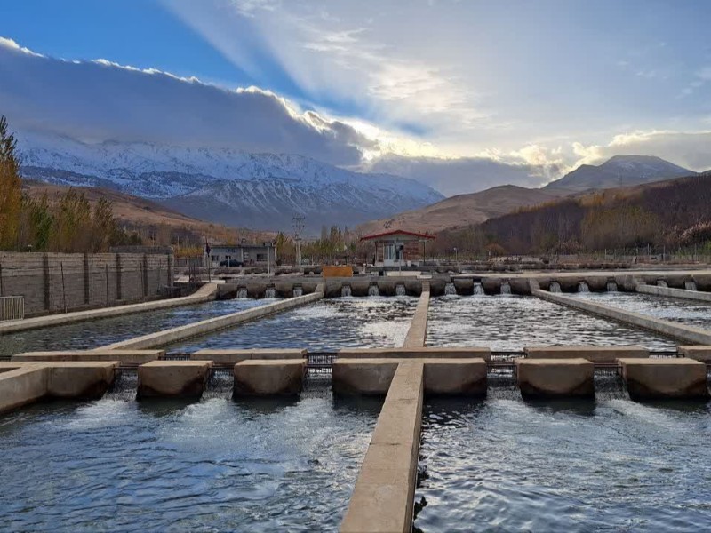 مزرعه پرورش ماهی قزل آلا در روستای دوآب شهرستان صحنه فعال است مزرعه پرورش ماهی قزل آلا در روستای دوآب شهرستان صحنه فعال است