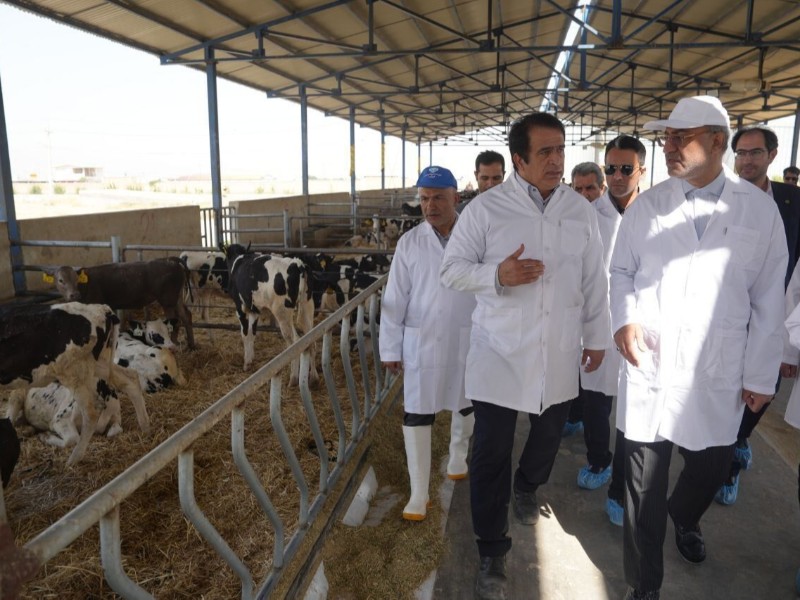 پالایشگاه شیر در غرب استان احداث می شود پالایشگاه شیر در غرب استان احداث می شود