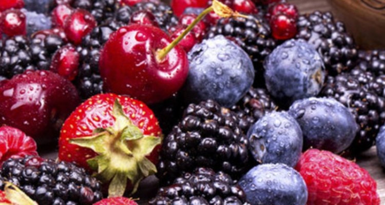 گنجاندن انواع توت در رژیم غذایی روند پارکینسون را کُند می نماید