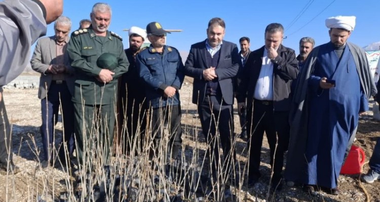 پویش درختکاری درروستای ینگیجه بخش دینور  برگزار شد