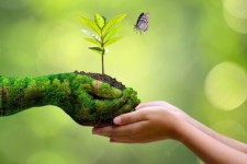 ۷۵ هزار کرمانشاهی همیار طبیعت هستند