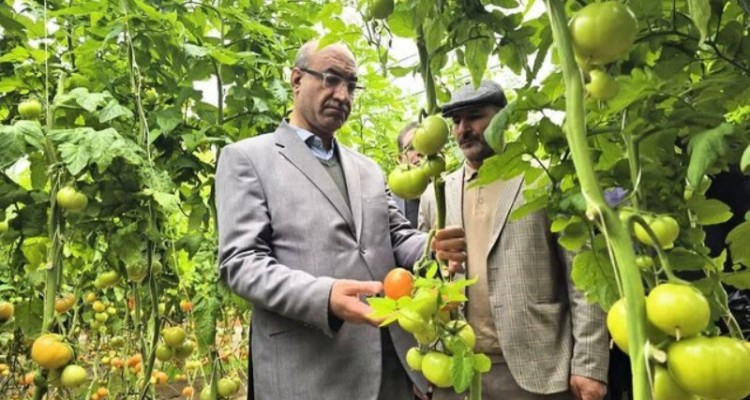 افتتاح یک گلخانه تولید صیفی‌جات در شهرستان صحنه