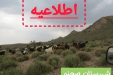 اطلاعیه اداره منابع طبیعی و آبخیزداری شهرستان صحنه