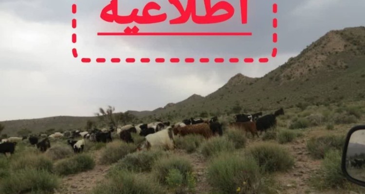 اطلاعیه اداره منابع طبیعی و آبخیزداری شهرستان صحنه