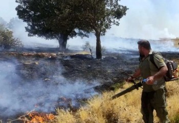کاهش چشمگیر آتش‌سوزی‌ها در صحنه؛ مهار ۱۷ فقره حریق در سال گذشته