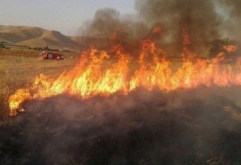 جارسوزی در کمین مراتع صحنه است