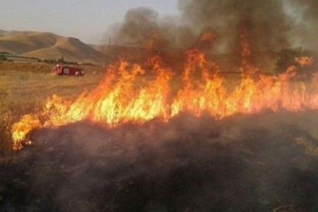جارسوزی در کمین مراتع صحنه است