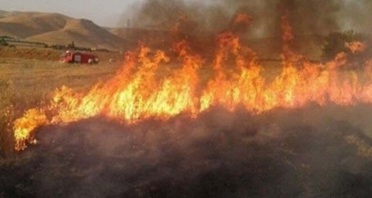 جارسوزی در کمین مراتع صحنه است
