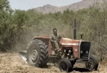 توقیف تراکتور متخلفان در اراضی ملی «صحنه»