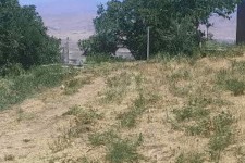 شناسایی متخلفان تخریب اراضی ملی در صحنه