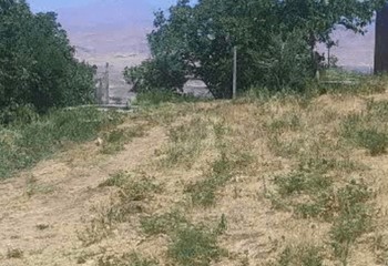 شناسایی متخلفان تخریب اراضی ملی در صحنه