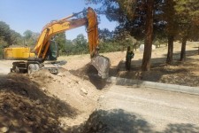رفع مشکل آبیاری درختان پارک جنگلی محله جوادآبادصحنه پس از چندین سال