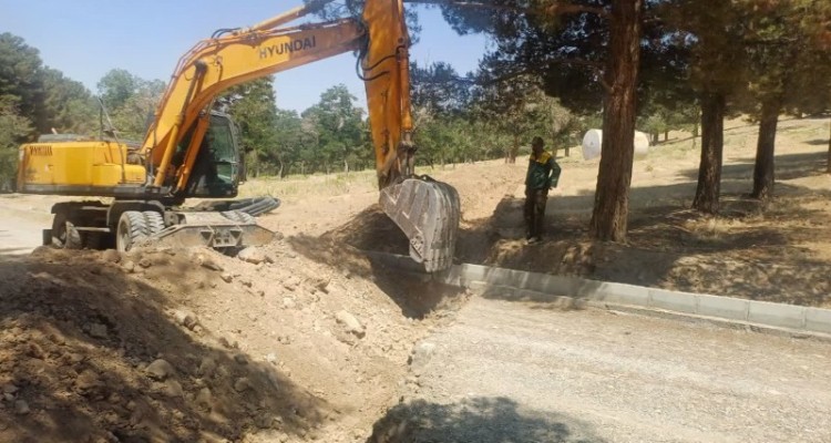 رفع مشکل آبیاری درختان پارک جنگلی محله جوادآبادصحنه پس از چندین سال