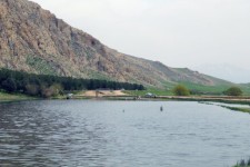 پرونده «سایت پرنده‌نگری هشیلان» بعد از ۱۰ سال بسته می‌شود